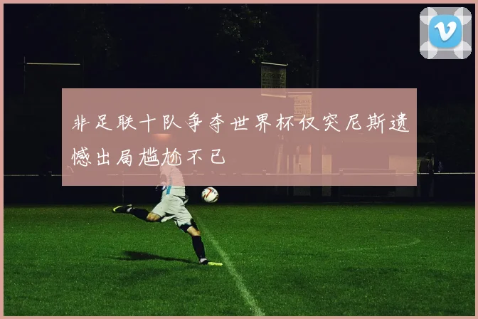 非足联十队争夺世界杯仅突尼斯遗憾出局尴尬不已