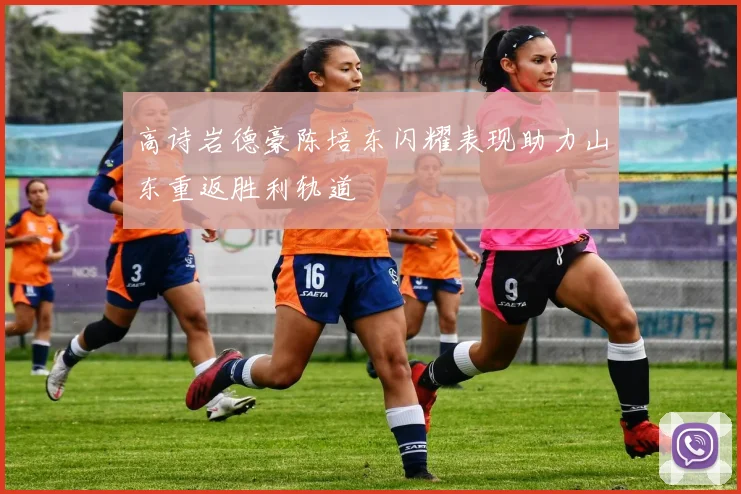 高诗岩德豪陈培东闪耀表现助力山东重返胜利轨道